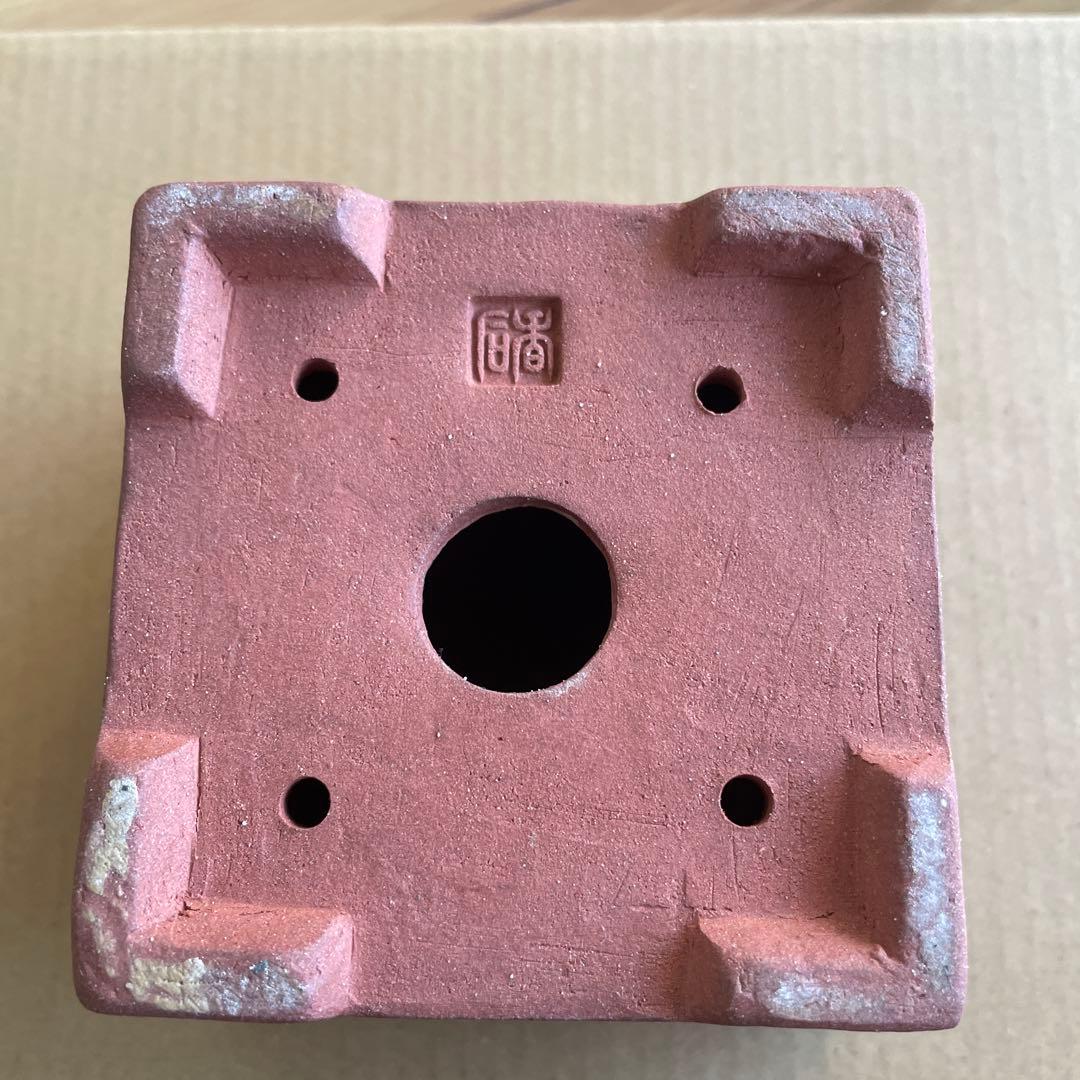 盆栽鉢　桑津香石　植木鉢　落款印　鳥　山野草　大きめ　四角形