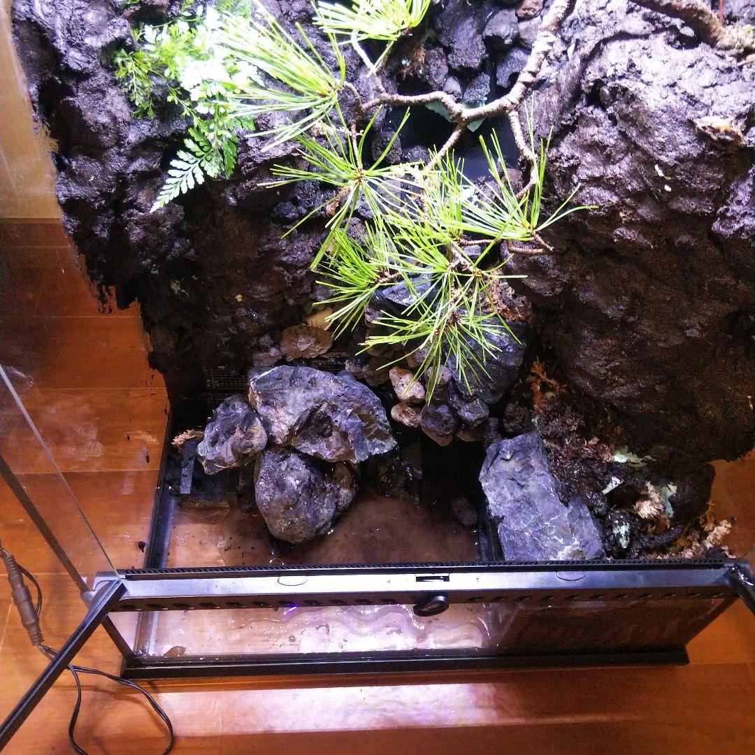 滝のあるアクアテラリウム完成品