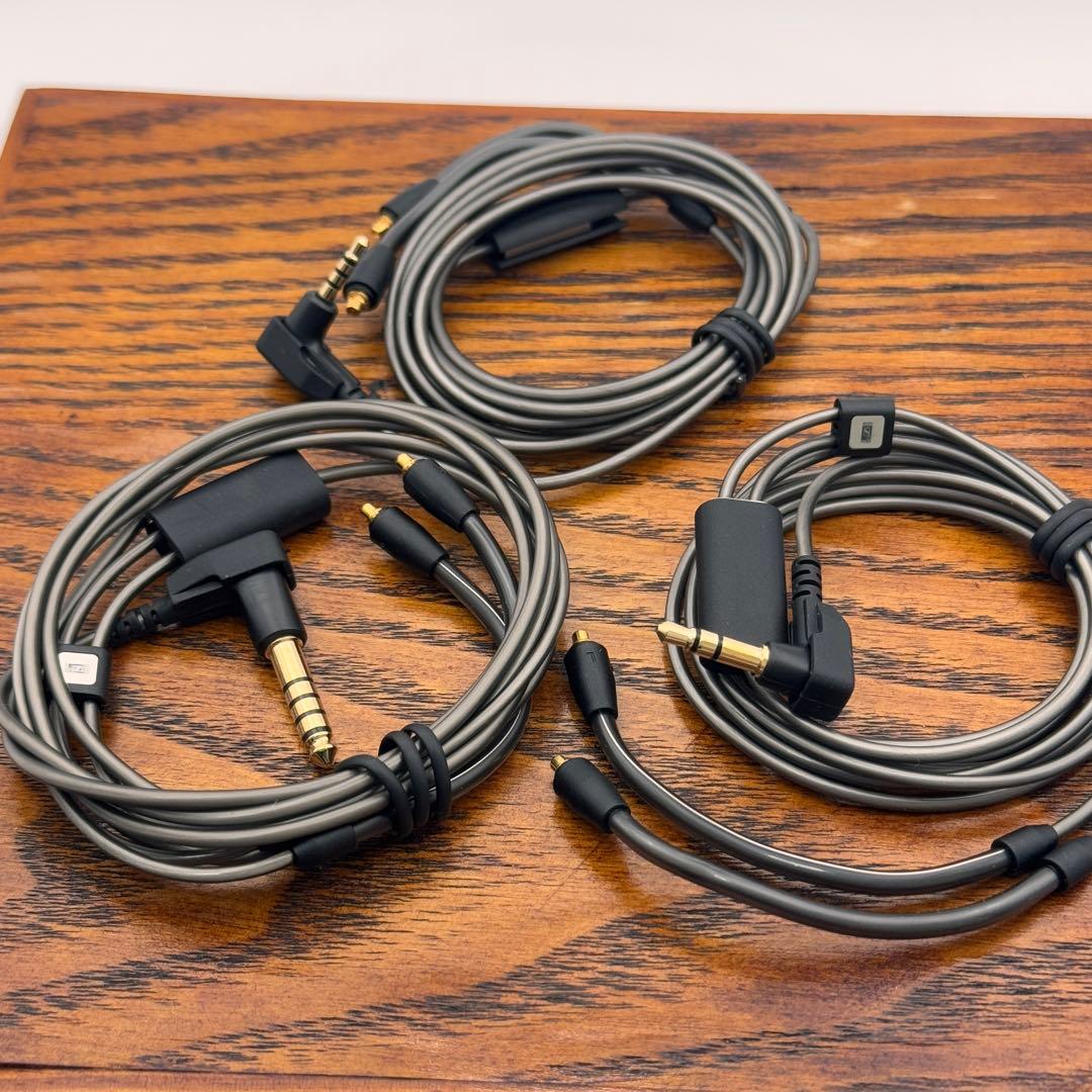 【美品／付属品完備】Sennheiser IE900 ゼンハイザー