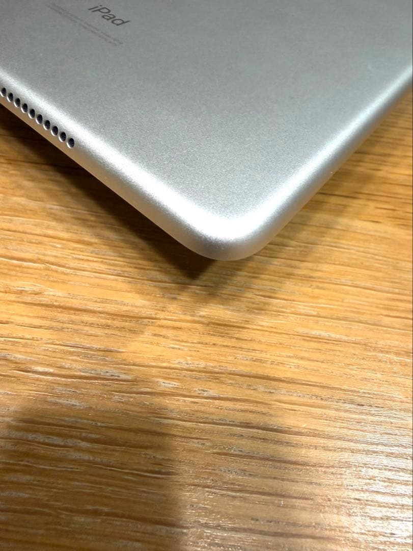 iPad mini 第5世代 Wi-Fi+Cellular 256GB シルバー