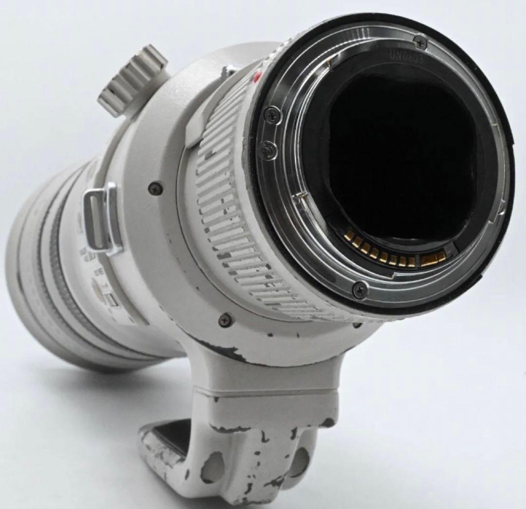 野鳥撮影に！Canon EF 500mm F4 IS