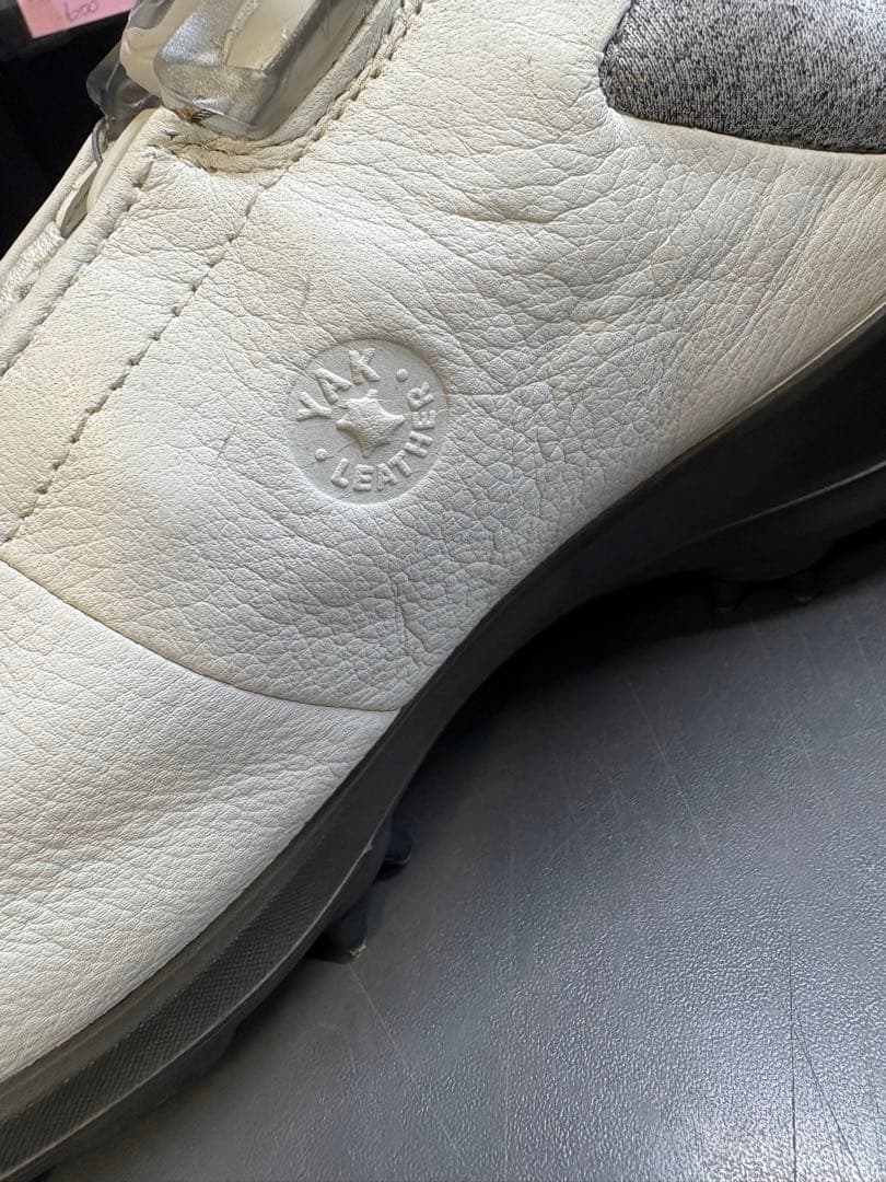 ecco エコー ゴルフシューズ BOA BIOM