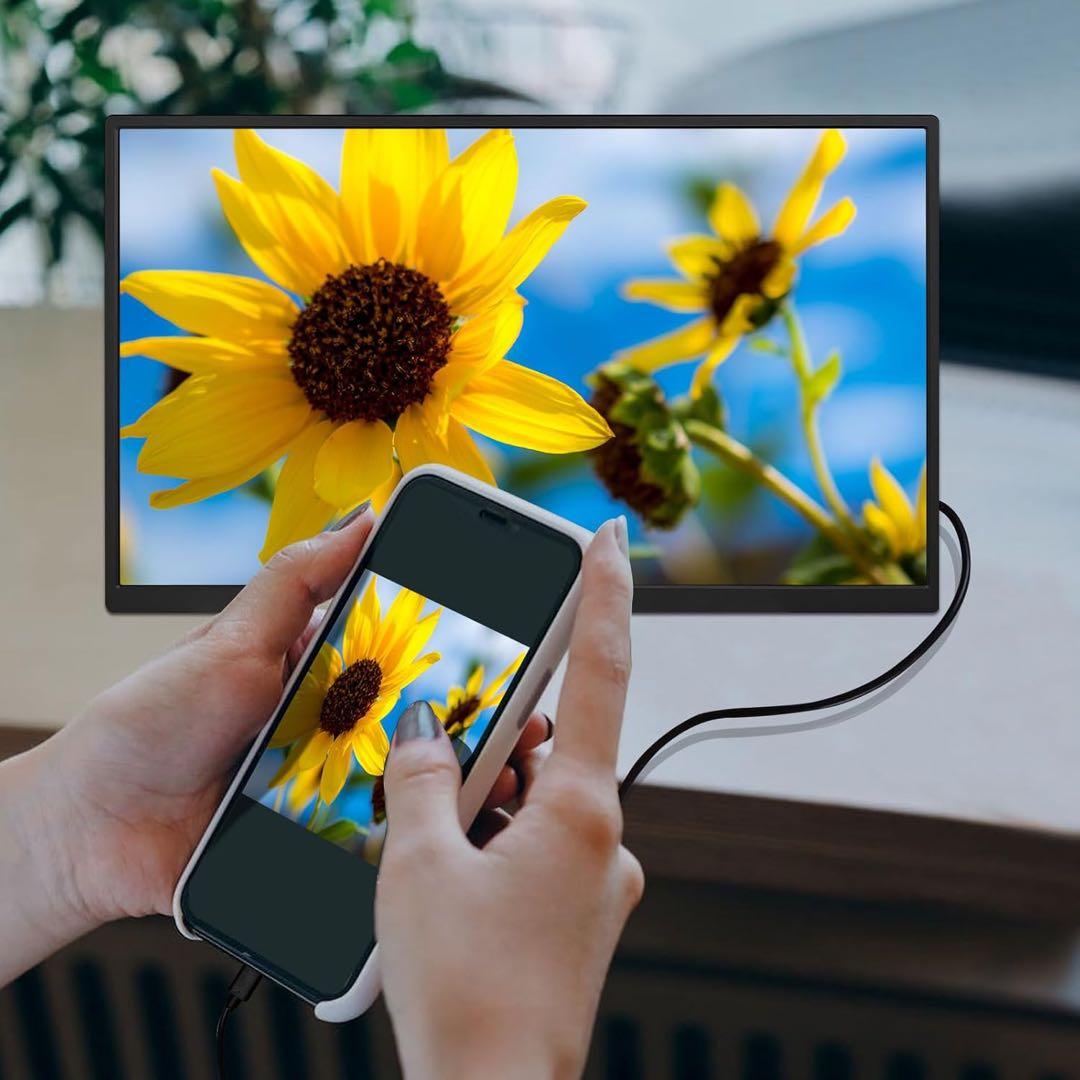 Acouto Zen18 モバイルモニター 18.5インチ 120Hz