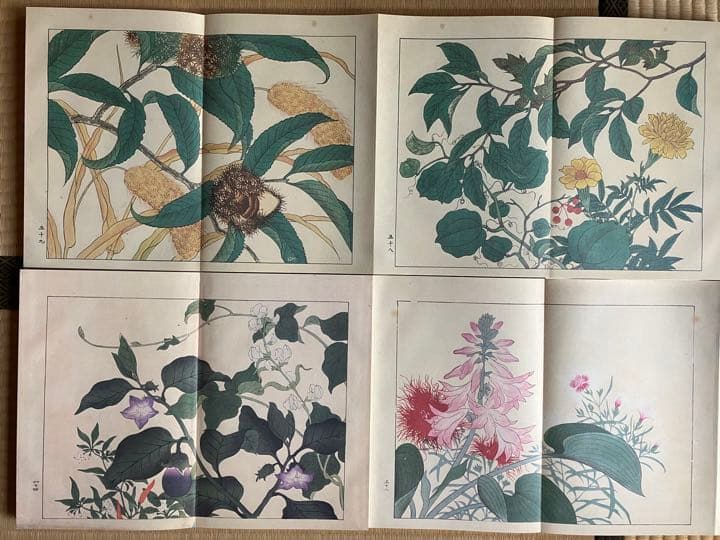 四季の花　復刻版　全10冊　はなてちょう4冊付
