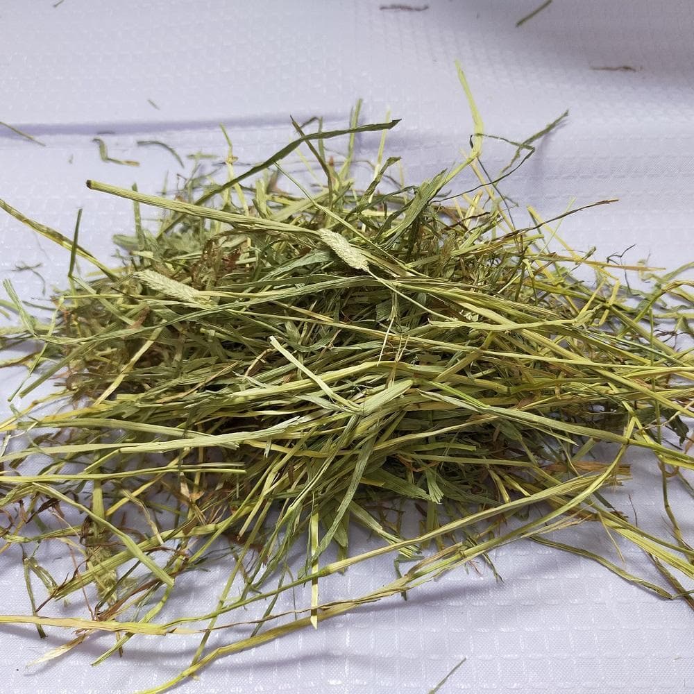 US産 チモシー 120kg ２番刈り ソフトスーパープレミアム