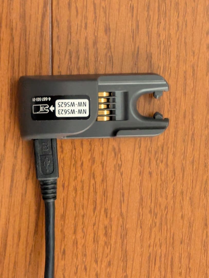 即決 Sony ソニー WALKMAN ワイヤレスイヤホン NW-WS623