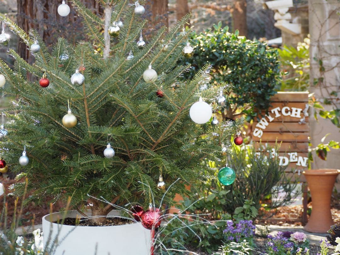 オリンパス PL7 ミラーレス一眼