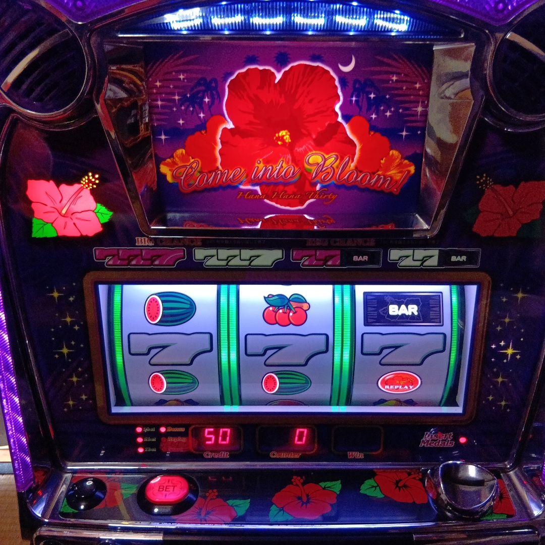 パチスロ実機　キングハナハナ30　紫パネル