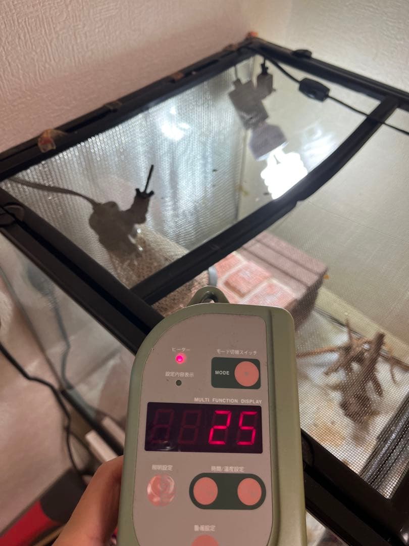 爬虫類ケージ・サーモスタットセット