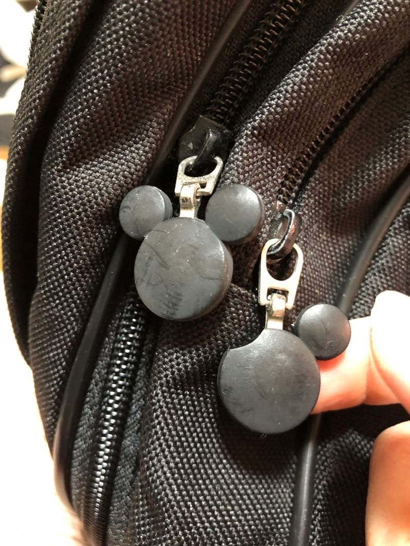 アメリカのディズニーランドで購入 当時50周年目のレアバッグ