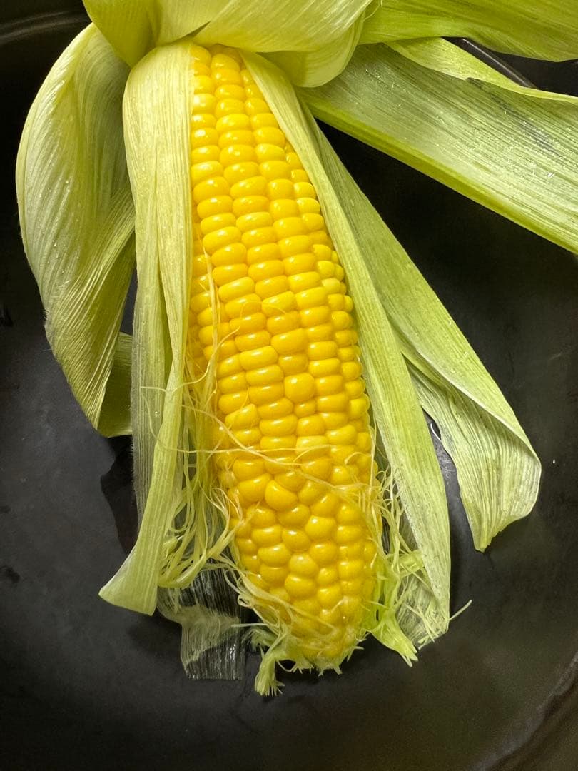 【新品】マイクロ波対策！電子レンジ専用小判型！使い勝手良いとリピートする方多数！