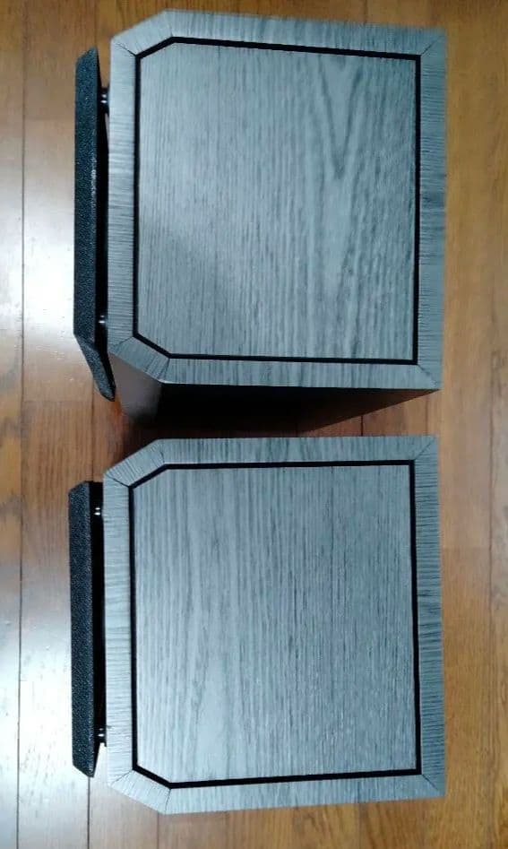 【Pro Cableさんおすすめ】BIC DV62si（中古）