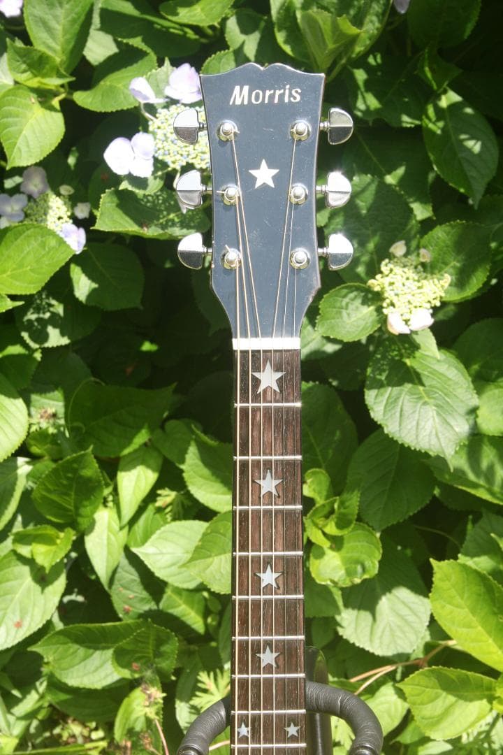 Morris WJ-30 Everly Brothers モデル 日本製