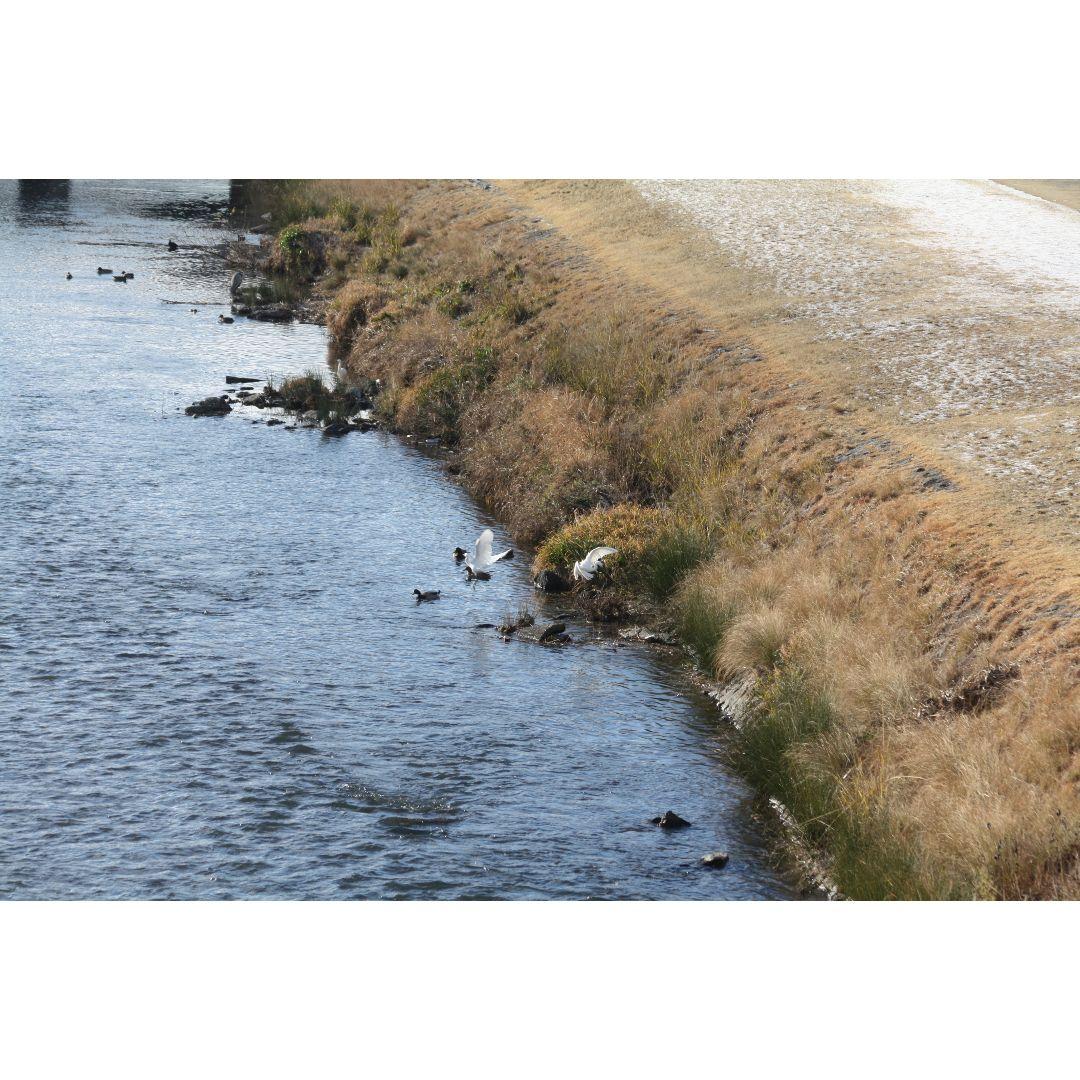 ❤即購入1000円OFF❤ Canon Kiss X2 超望遠 ダブルレンズ