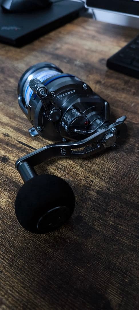 Daiwa saltiga ソルティガ15