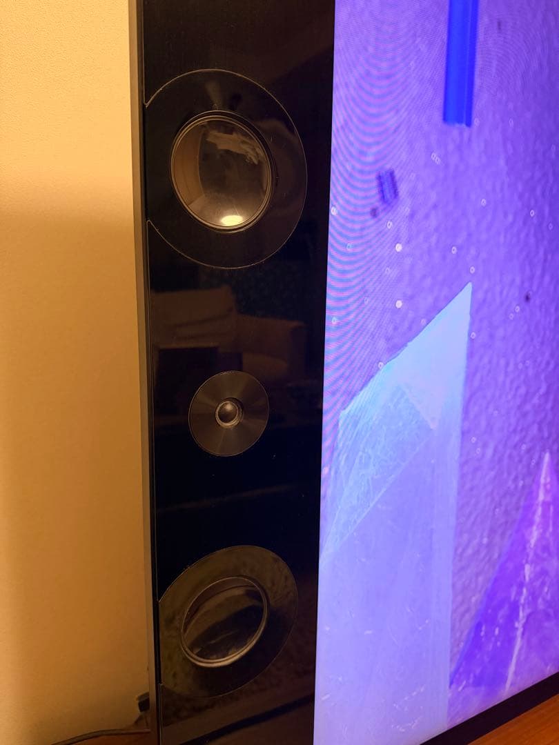 SONY BRAVIA ソニーブラビア4K対応　55型KD-55X9200A