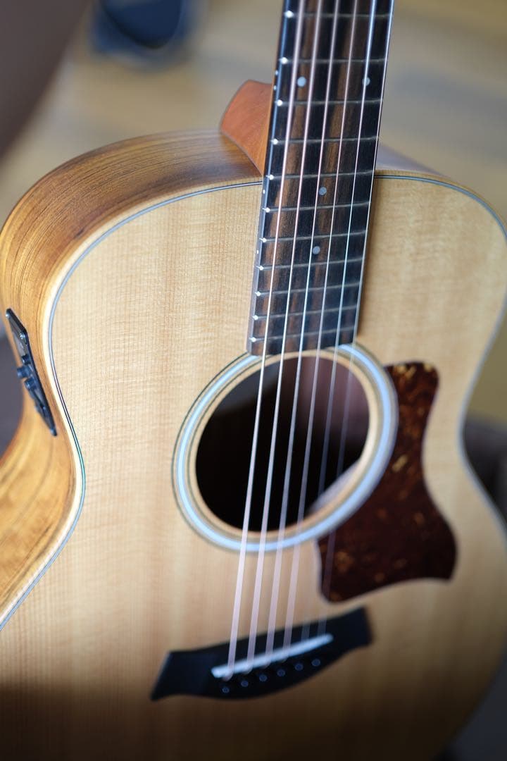 Taylor LTD GS Mini 限定モデル