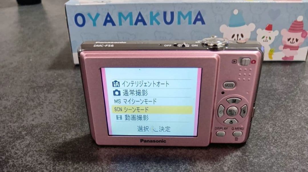 Panasonic LUMIX DMC-FS6 デジタルカメラ 動作確認済