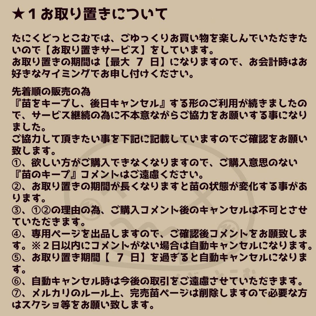 サツマイモ様