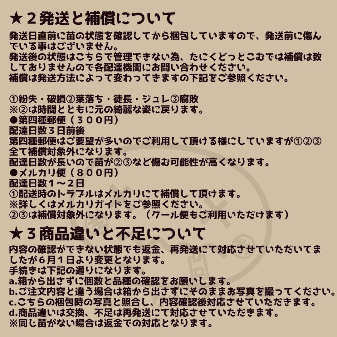 サツマイモ様