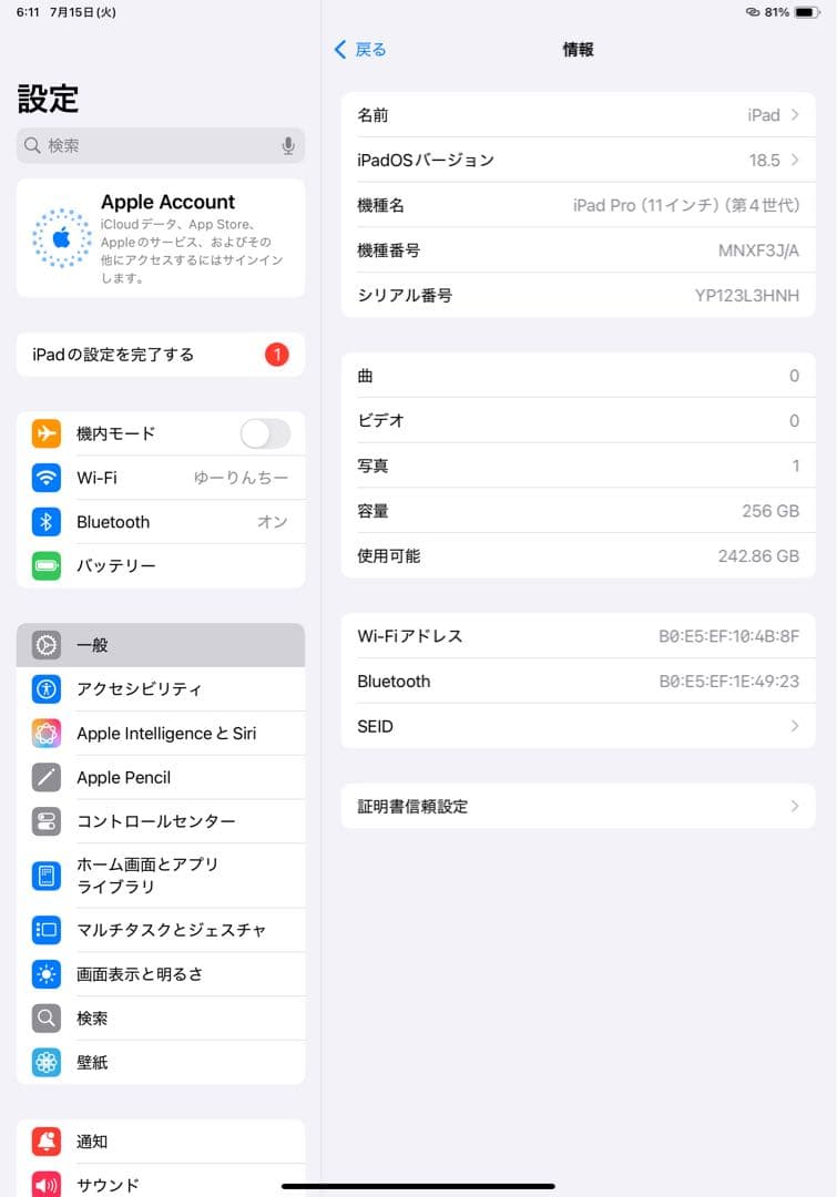 iPadプロ11インチ 第4世代 256GB WiFiモデル