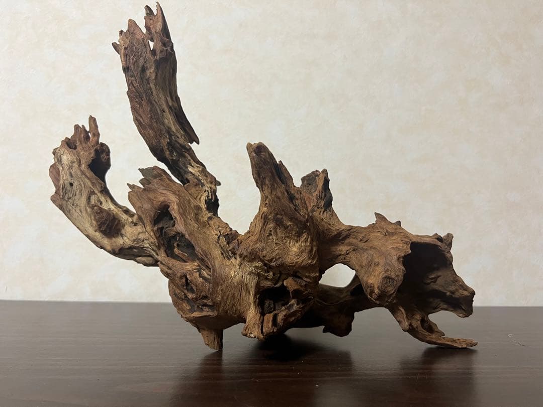 HX-003 流木　ホーンウッド　マシンガンウッド　アクアリウム　ブランチウッド