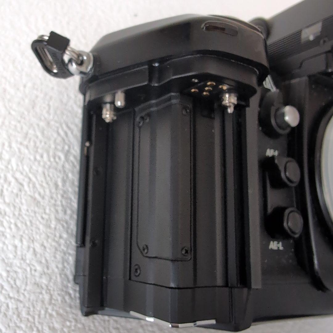 モナカ　Nikon F4　訳あり