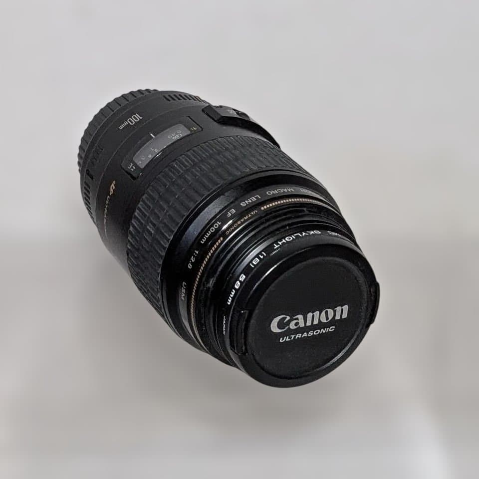 Canon EF 100mm f/2.8 USM レンズ AF動作確認済み