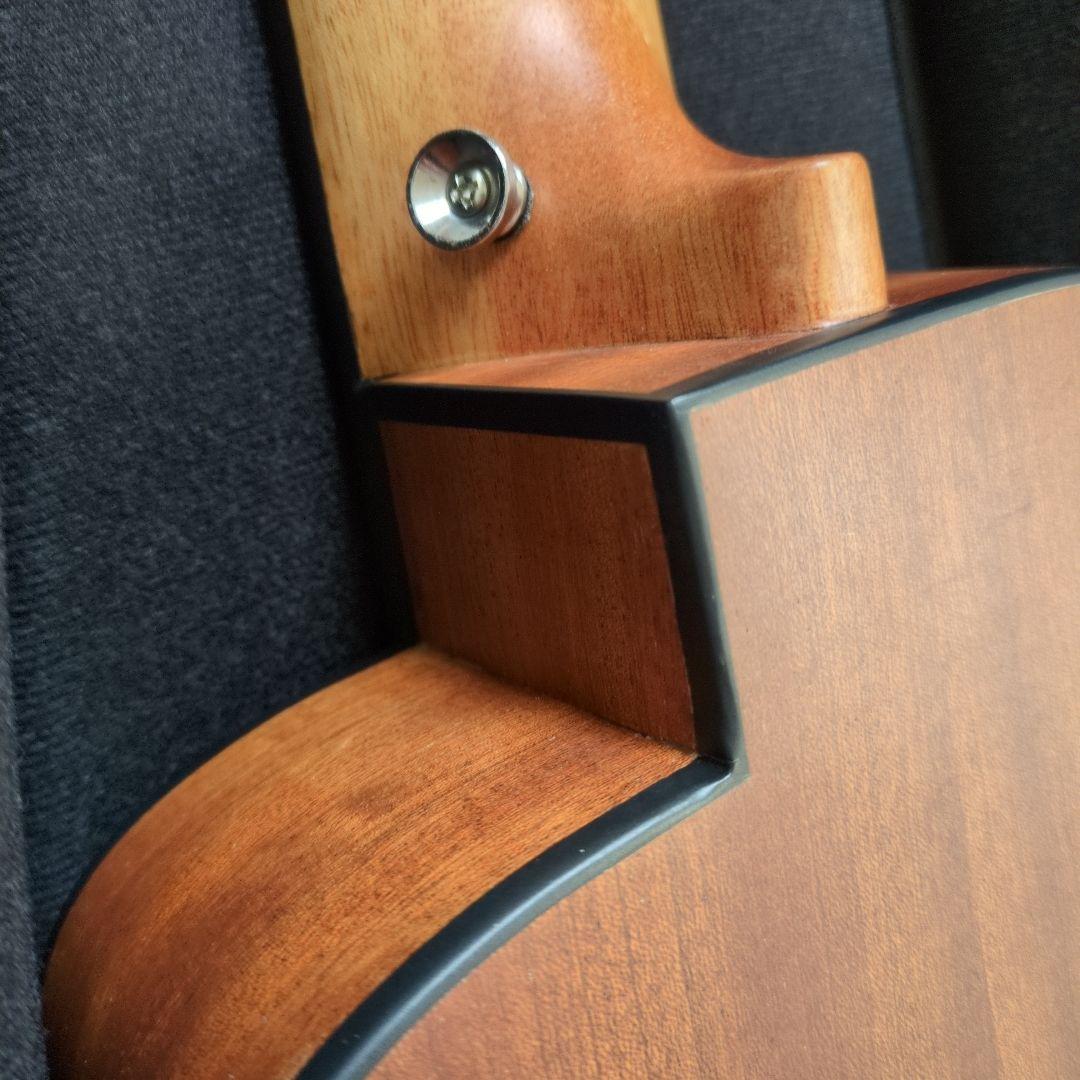 ミニギター anuenue Bird s10