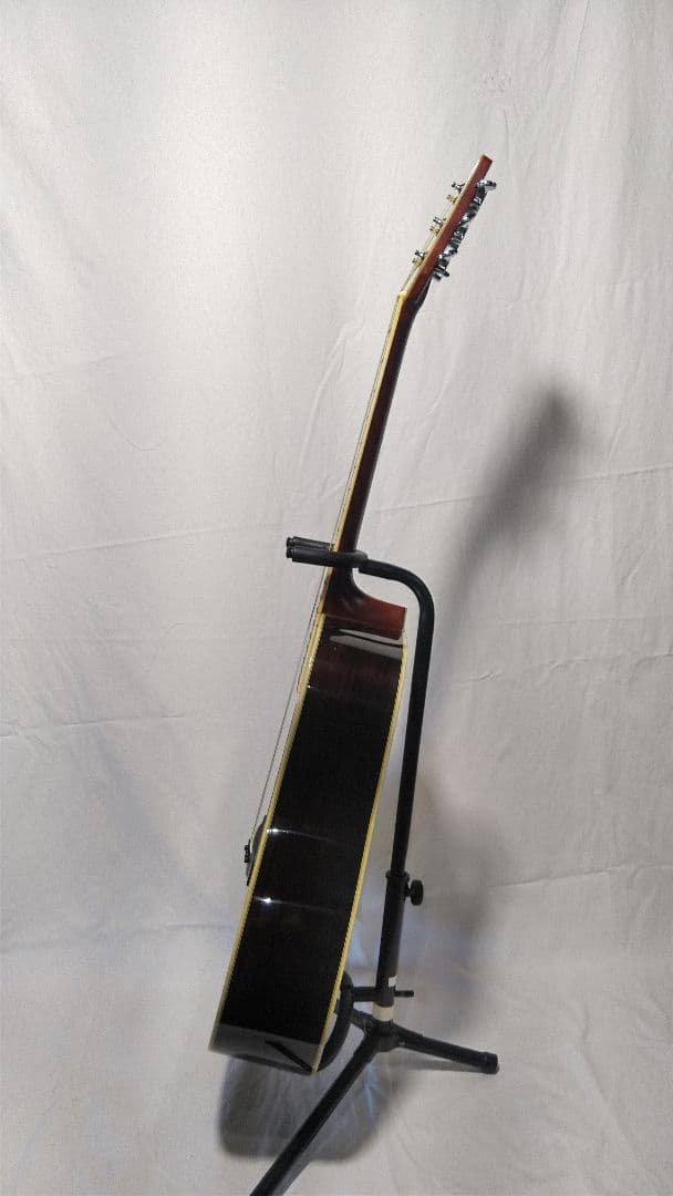 ギ*5様 Morris 　TF W-50