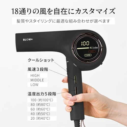 Onedam ワンダム ヘアドライヤー 海外対応 大風量 速乾 プラズマケア A