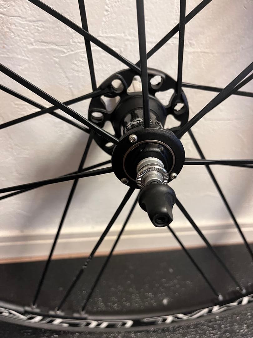 ワカちゃん　Campagnplo シャマルウルトラ