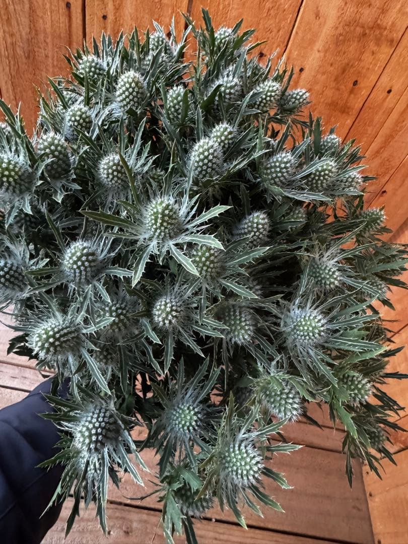 100様 リクエスト 7点 まとめ商品