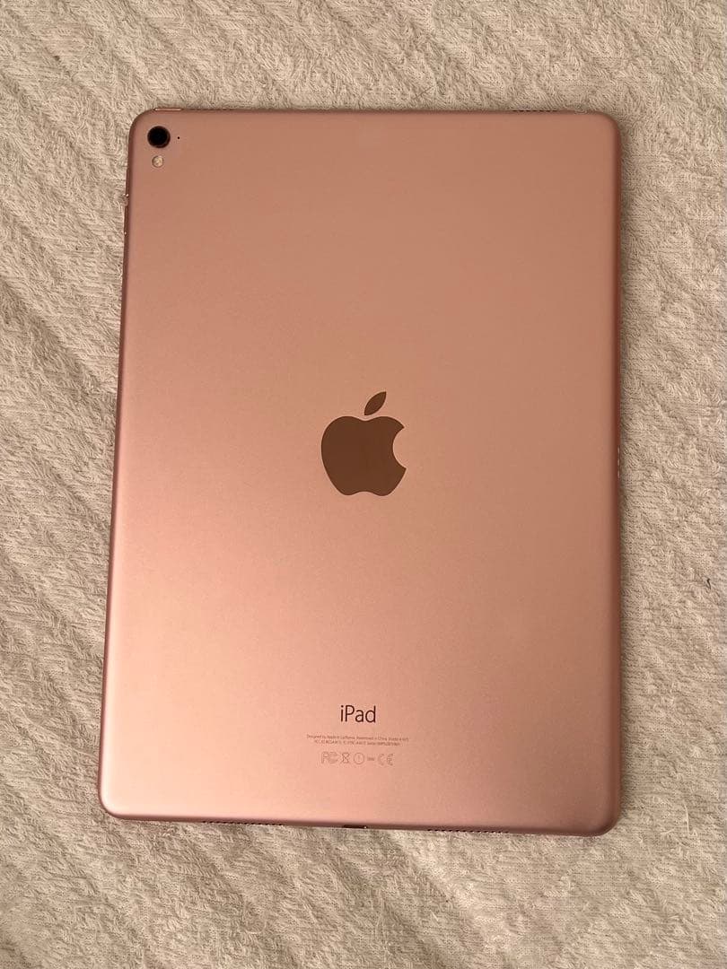 iPad 本体