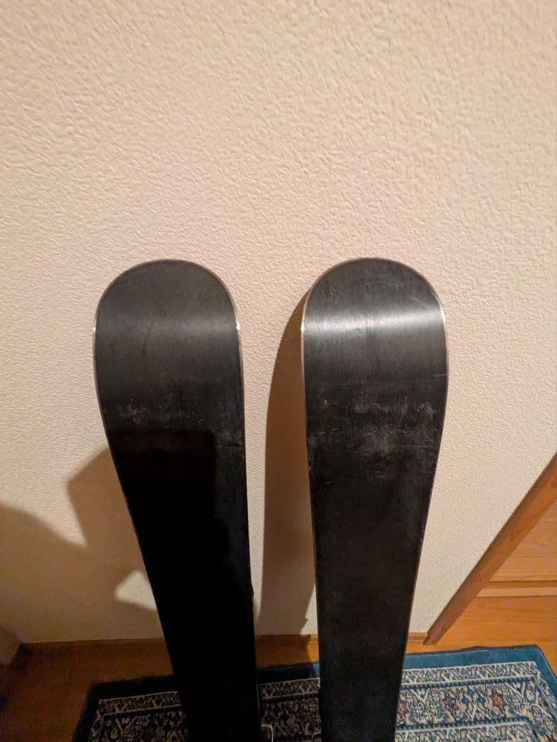 スキーボード99cm Carving スキー板