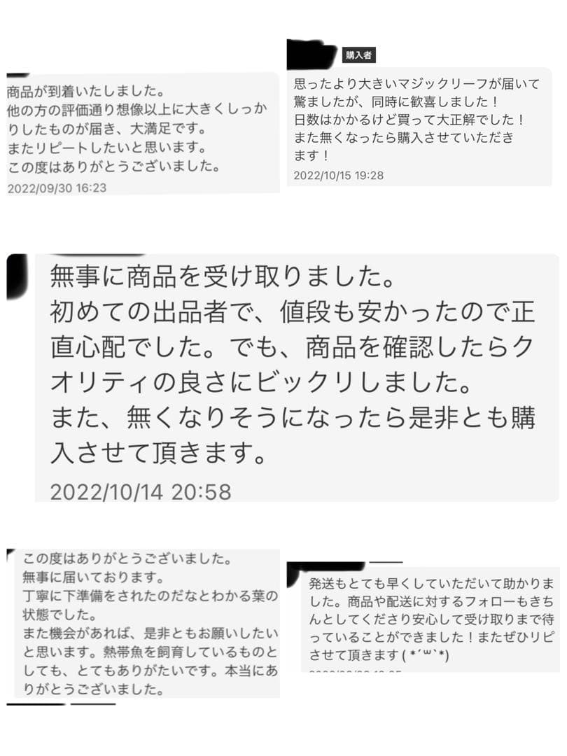 沖縄県やんばる産マジックリーフ 1kg UV殺菌灯照射済み③