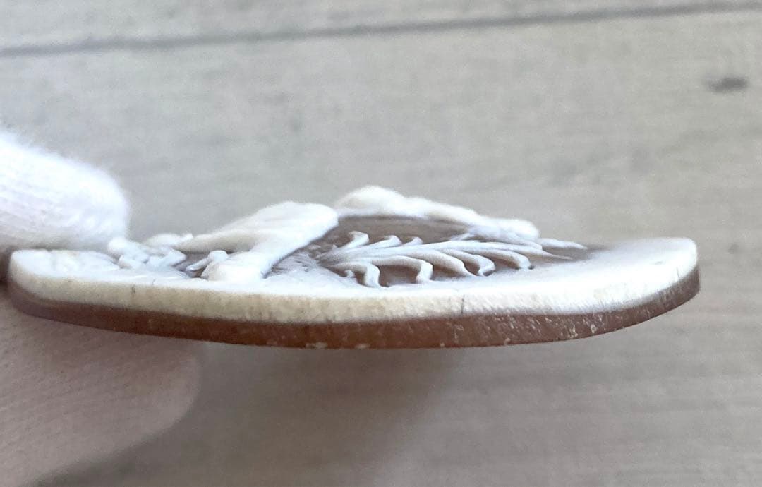 カメオ　シェル　ルース　母親と子供