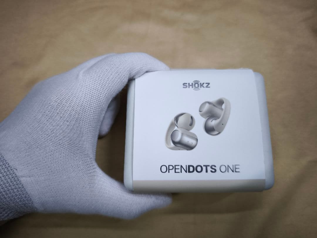 Shokz OpenDots ONE　グレー