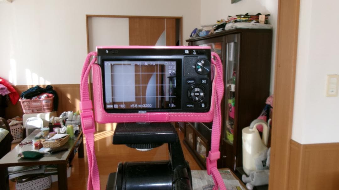 ショット数367枚　NIKON 1 J1 ダブルズームセット 　美品です