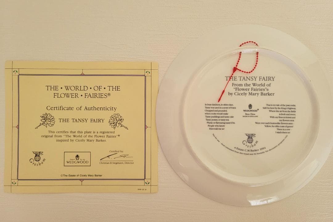 シシリー メアリー バーカー フラワーフェアリーズ 約20㎝絵皿 7枚