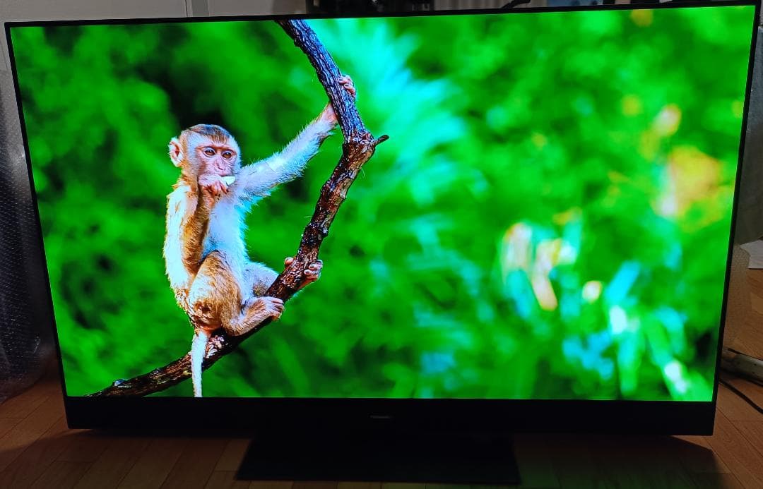 美品19年製 55V型 PanasonicVIERA TH-55GZ2000