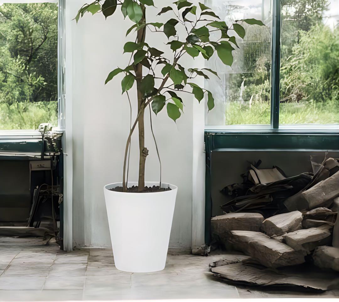 光触媒　人工観葉植物　フェイクグリーン　ベンジャミン120FST