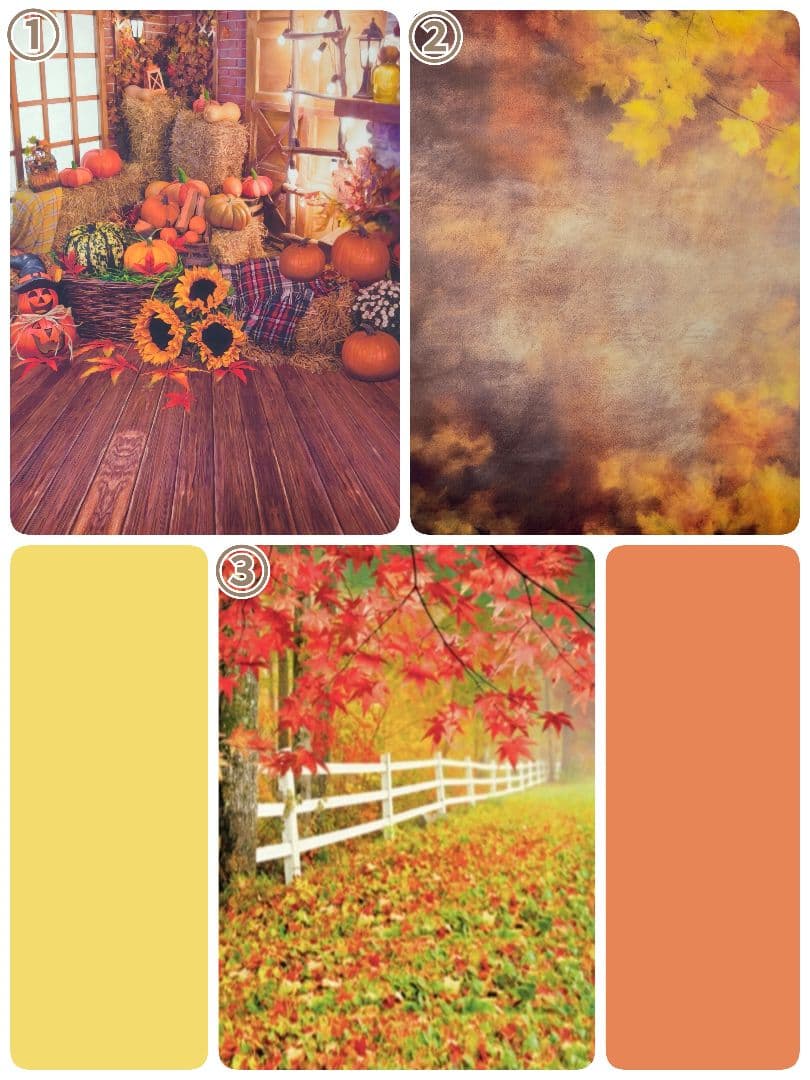 背景布×10+2　ペット撮影用フォトブース　トリミングチョーカー販売中　Xmas