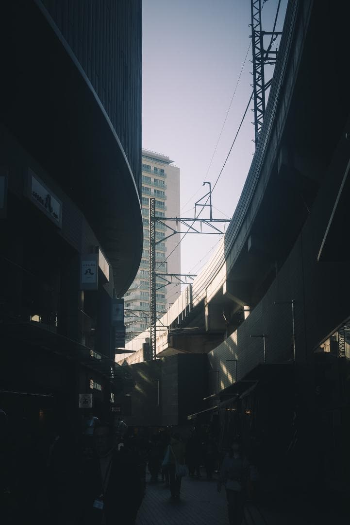 虹が出るライカの癖玉！Leica Summar 50mm f2 オールドレンズ