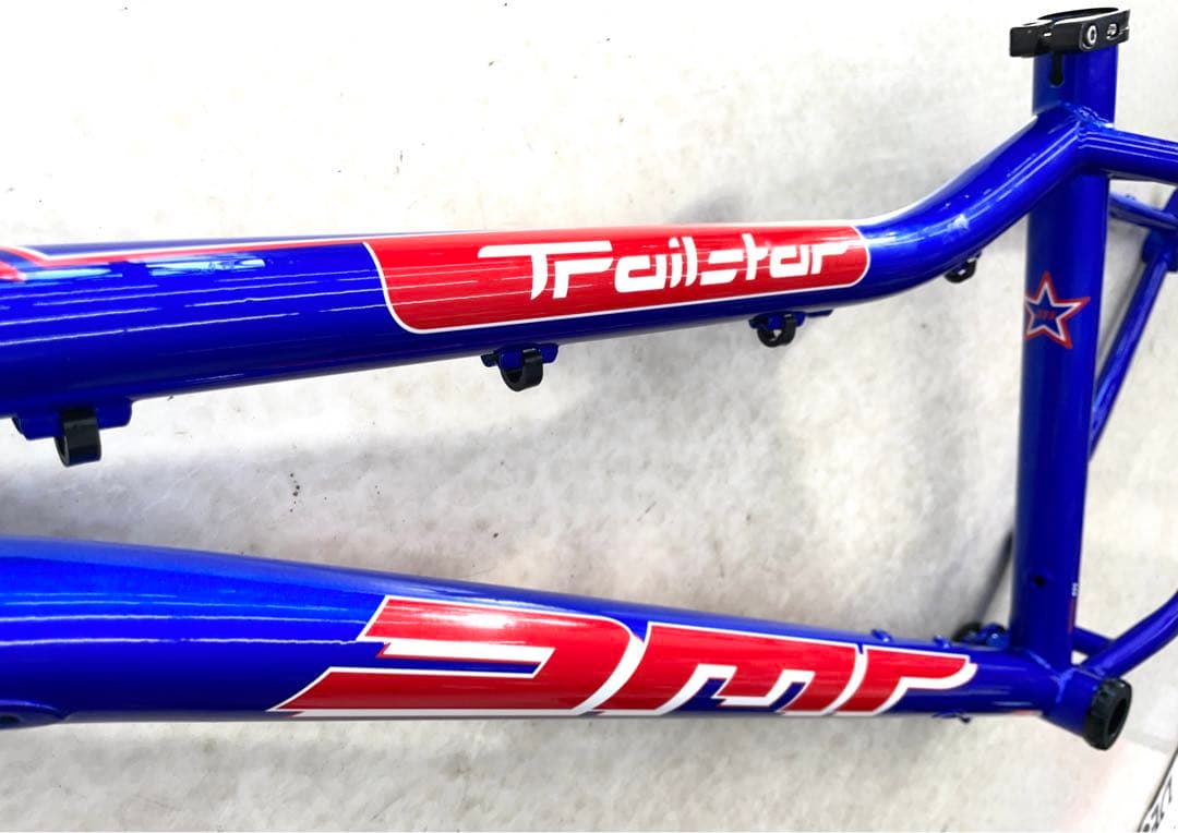 専用　DMR TRAILSTARフレームのみ