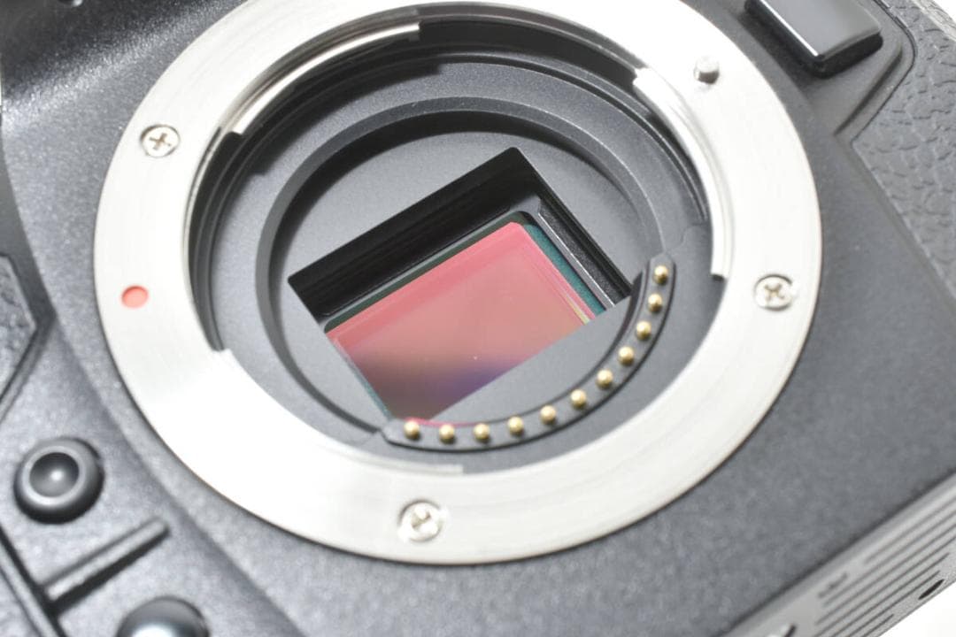 ショット数:4367回 OLYMPUS OM SYSTEM OM-1 #1060