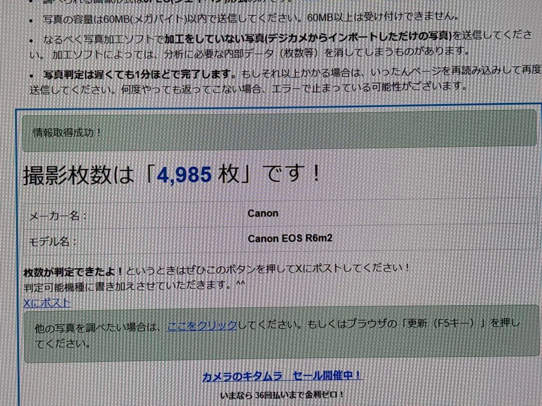 シャッター数少ない美品！メーカー4か月保証付　EOS R6 Mark II
