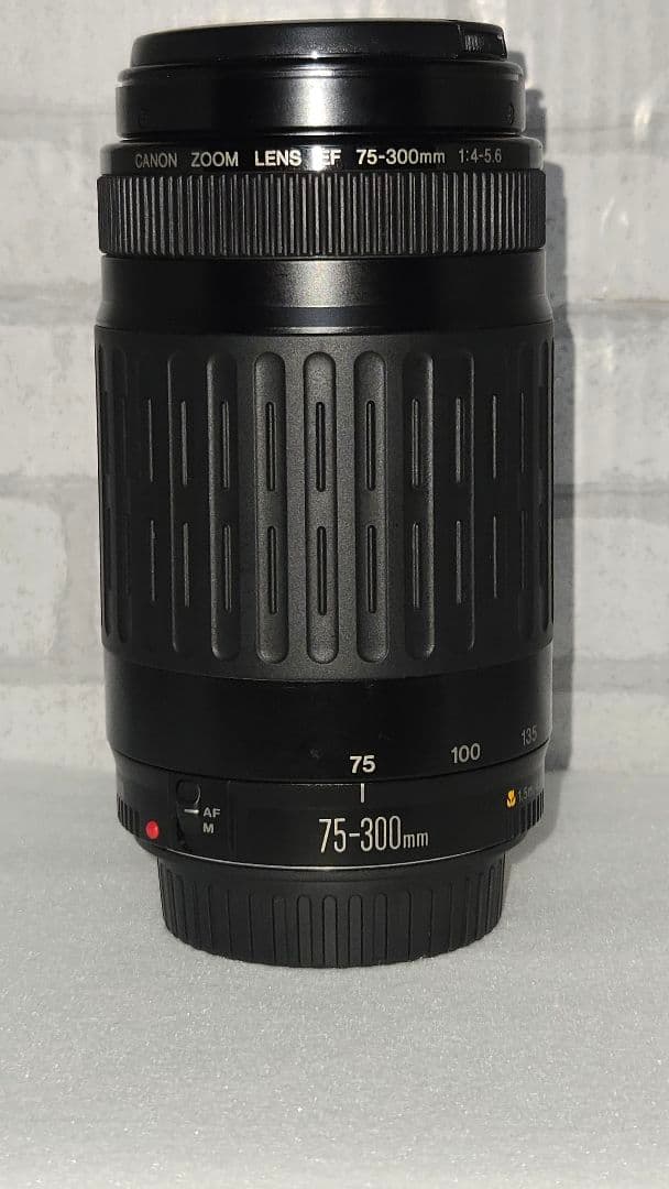 Canon EOS 80D　2,420万画素　レンズ３つ　セット売り　初心者向け