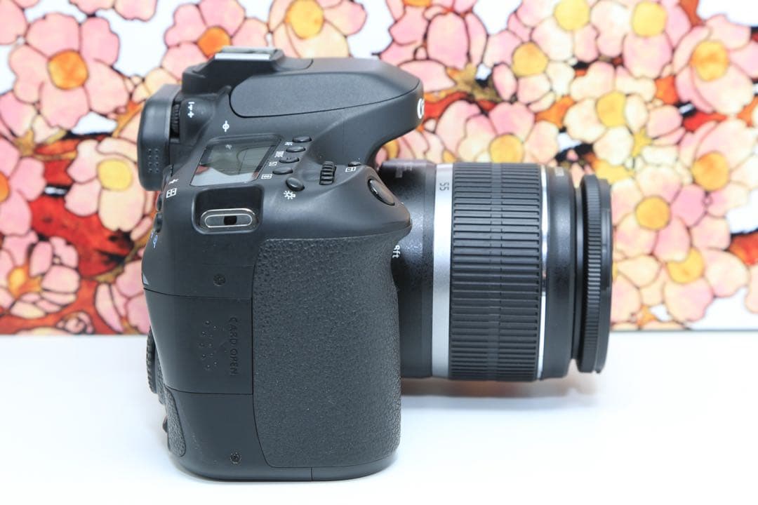 ❤️ハイスペック❤️キヤノン Canon EOS 80D レンズセット❤️