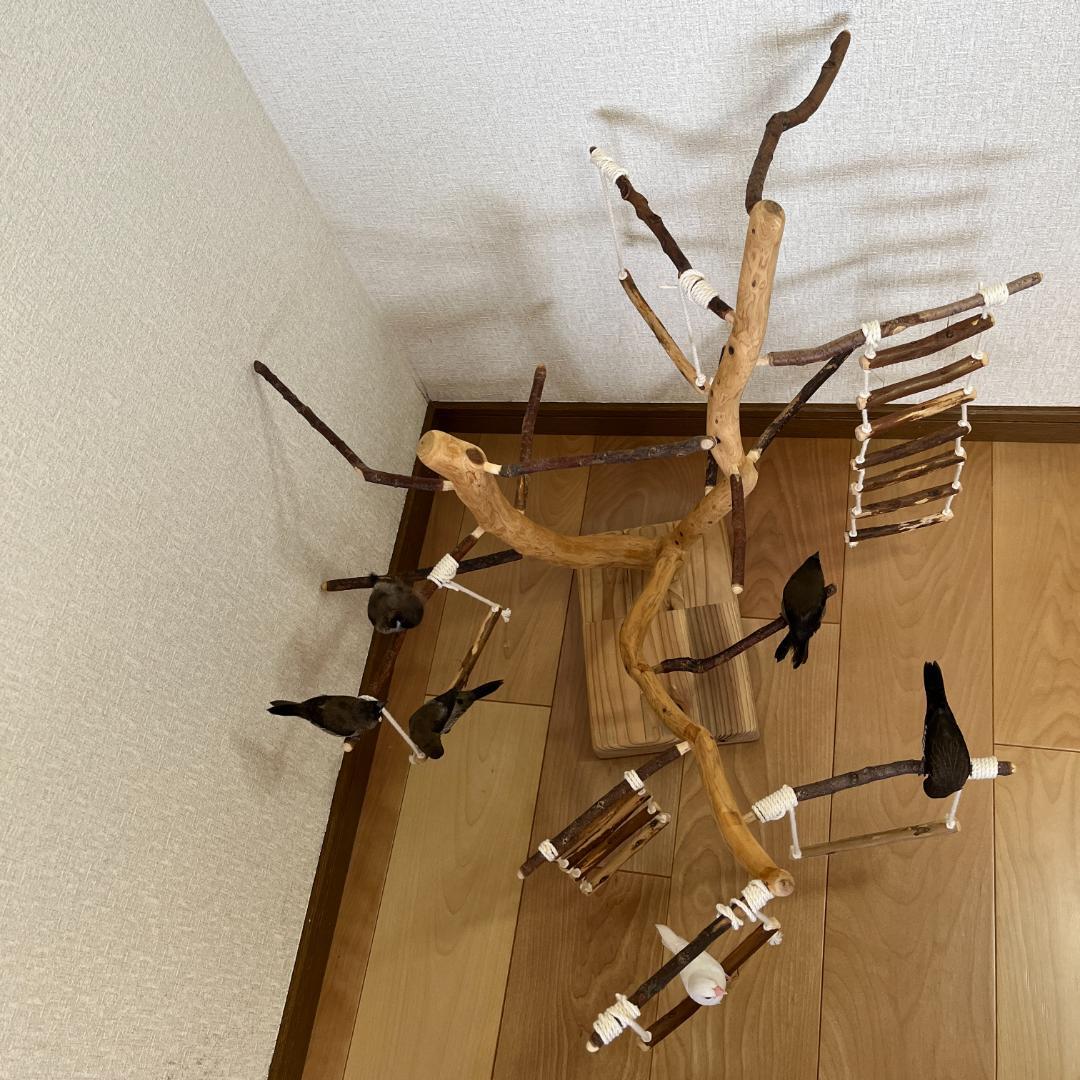 【小鳥用】あちこちブランコ&はしご付♬バードジム